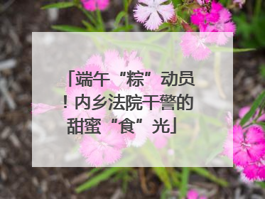 端午“粽”动员！内乡法院干警的甜蜜“食”光