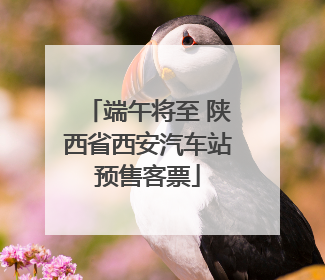端午将至 陕西省西安汽车站预售客票