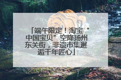 端午限定！淘宝“中国宝贝”空降扬州东关街，非遗市集邂逅千年匠心