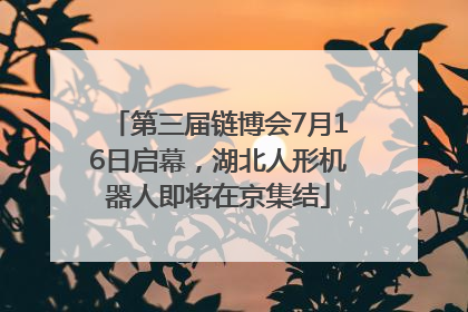 第三届链博会7月16日启幕，湖北人形机器人即将在京集结