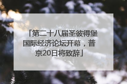 第二十八届圣彼得堡国际经济论坛开幕，普京20日将致辞