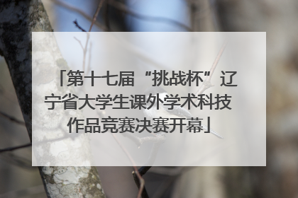 第十七届“挑战杯”辽宁省大学生课外学术科技作品竞赛决赛开幕