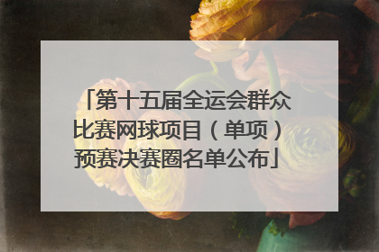 第十五届全运会群众比赛网球项目（单项）预赛决赛圈名单公布