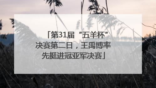 第31届“五羊杯”决赛第二日，王禹博率先挺进冠亚军决赛