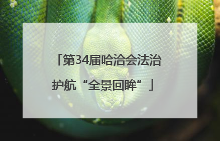 第34届哈洽会法治护航“全景回眸”