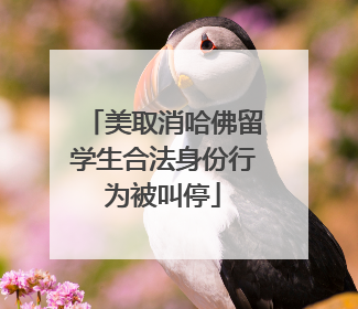 美取消哈佛留学生合法身份行为被叫停