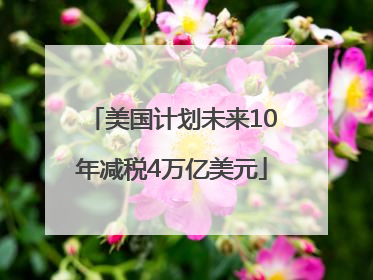 美国计划未来10年减税4万亿美元