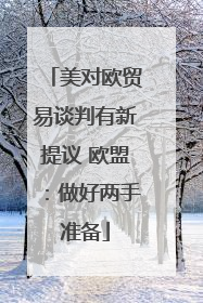 美对欧贸易谈判有新提议 欧盟：做好两手准备