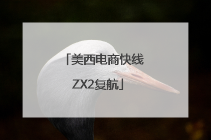 美西电商快线ZX2复航