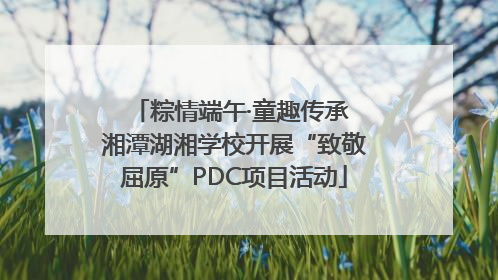 粽情端午·童趣传承 湘潭湖湘学校开展“致敬屈原”PDC项目活动