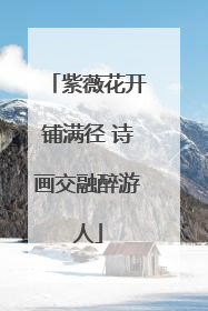 紫薇花开铺满径 诗画交融醉游人