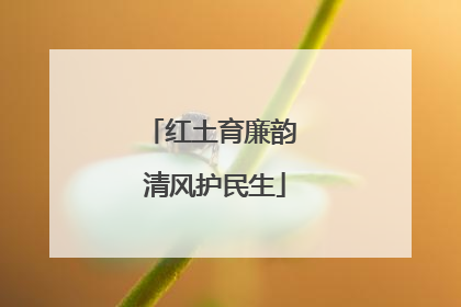 红土育廉韵 清风护民生