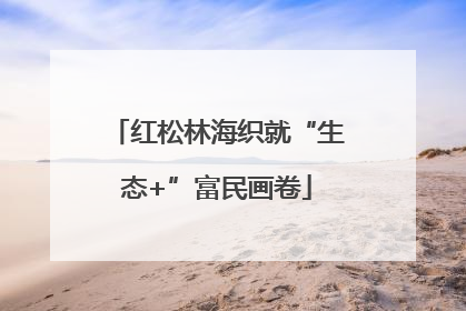 红松林海织就“生态+”富民画卷