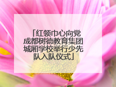 红领巾心向党 成都树德教育集团城厢学校举行少先队入队仪式