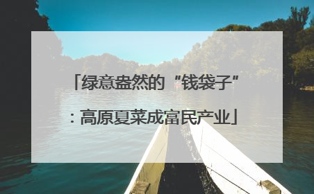 绿意盎然的“钱袋子”：高原夏菜成富民产业