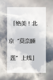 绝美！北京“莫奈睡莲”上线