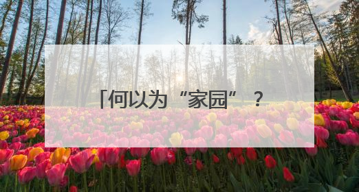 何以为“家园”？在共建共享的星火中，照亮精神原乡！