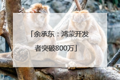 余承东：鸿蒙开发者突破800万
