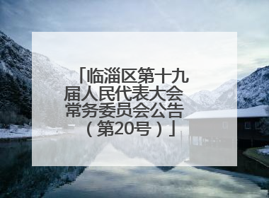 临淄区第十九届人民代表大会常务委员会公告（第20号）