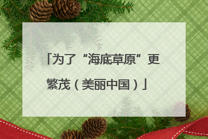 为了“海底草原”更繁茂（美丽中国）