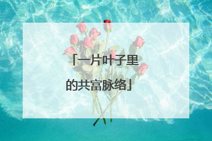 一片叶子里的共富脉络