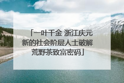一叶千金 浙江庆元新的社会阶层人士破解荒野茶致富密码