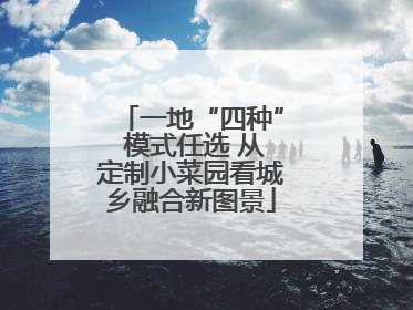 一地“四种” 模式任选 从定制小菜园看城乡融合新图景