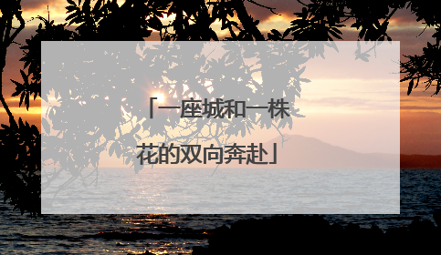 一座城和一株花的双向奔赴