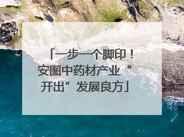 一步一个脚印！安图中药材产业“开出”发展良方