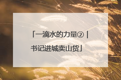 一滴水的力量②｜书记进城卖山货
