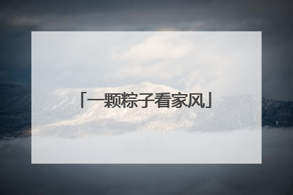 一颗粽子看家风