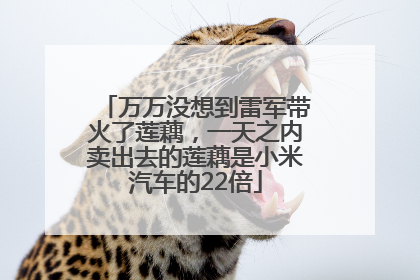 万万没想到雷军带火了莲藕，一天之内卖出去的莲藕是小米汽车的22倍
