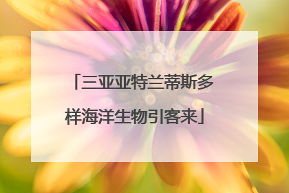 三亚亚特兰蒂斯多样海洋生物引客来