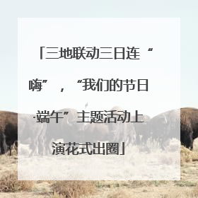 三地联动三日连“嗨”，“我们的节日·端午”主题活动上演花式出圈