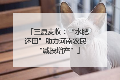 三夏麦收：“水肥还田”助力河南农民“减投增产”