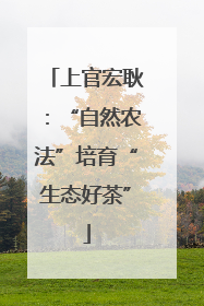 上官宏耿：“自然农法”培育“生态好茶”
