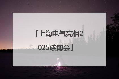 上海电气亮相2025碳博会