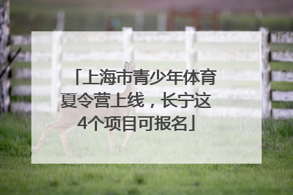 上海市青少年体育夏令营上线，长宁这4个项目可报名
