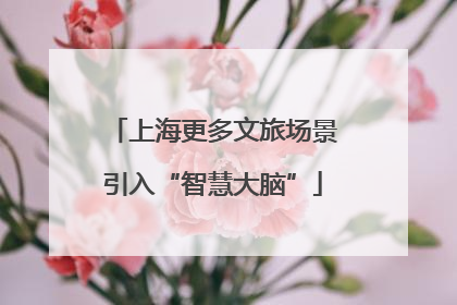 上海更多文旅场景引入“智慧大脑”