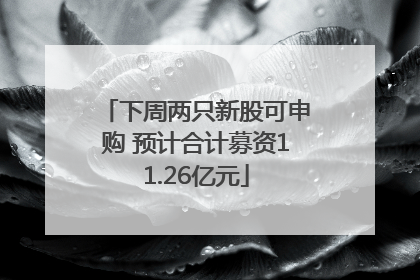 下周两只新股可申购 预计合计募资11.26亿元
