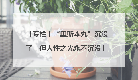 专栏丨“里斯本丸”沉没了，但人性之光永不沉没