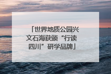 世界地质公园兴文石海获颁“行读四川”研学品牌