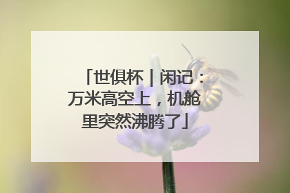 世俱杯｜闲记：万米高空上，机舱里突然沸腾了