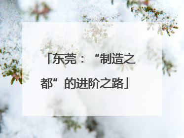 东莞：“制造之都”的进阶之路