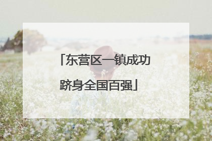 东营区一镇成功跻身全国百强