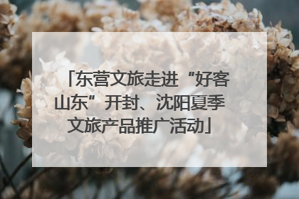 东营文旅走进“好客山东”开封、沈阳夏季文旅产品推广活动