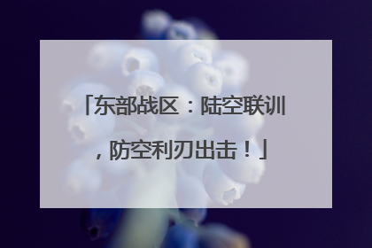 东部战区：陆空联训，防空利刃出击！