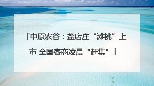 中原农谷：盐店庄“滩桃”上市 全国客商凌晨“赶集”