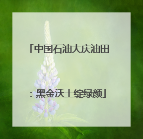 中国石油大庆油田：黑金沃土绽绿颜