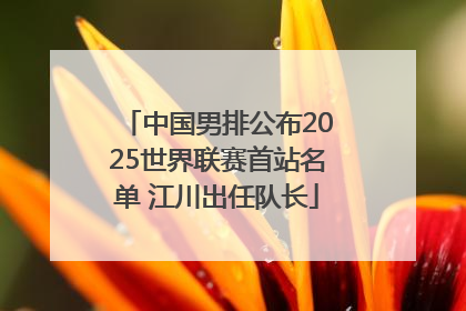 中国男排公布2025世界联赛首站名单 江川出任队长